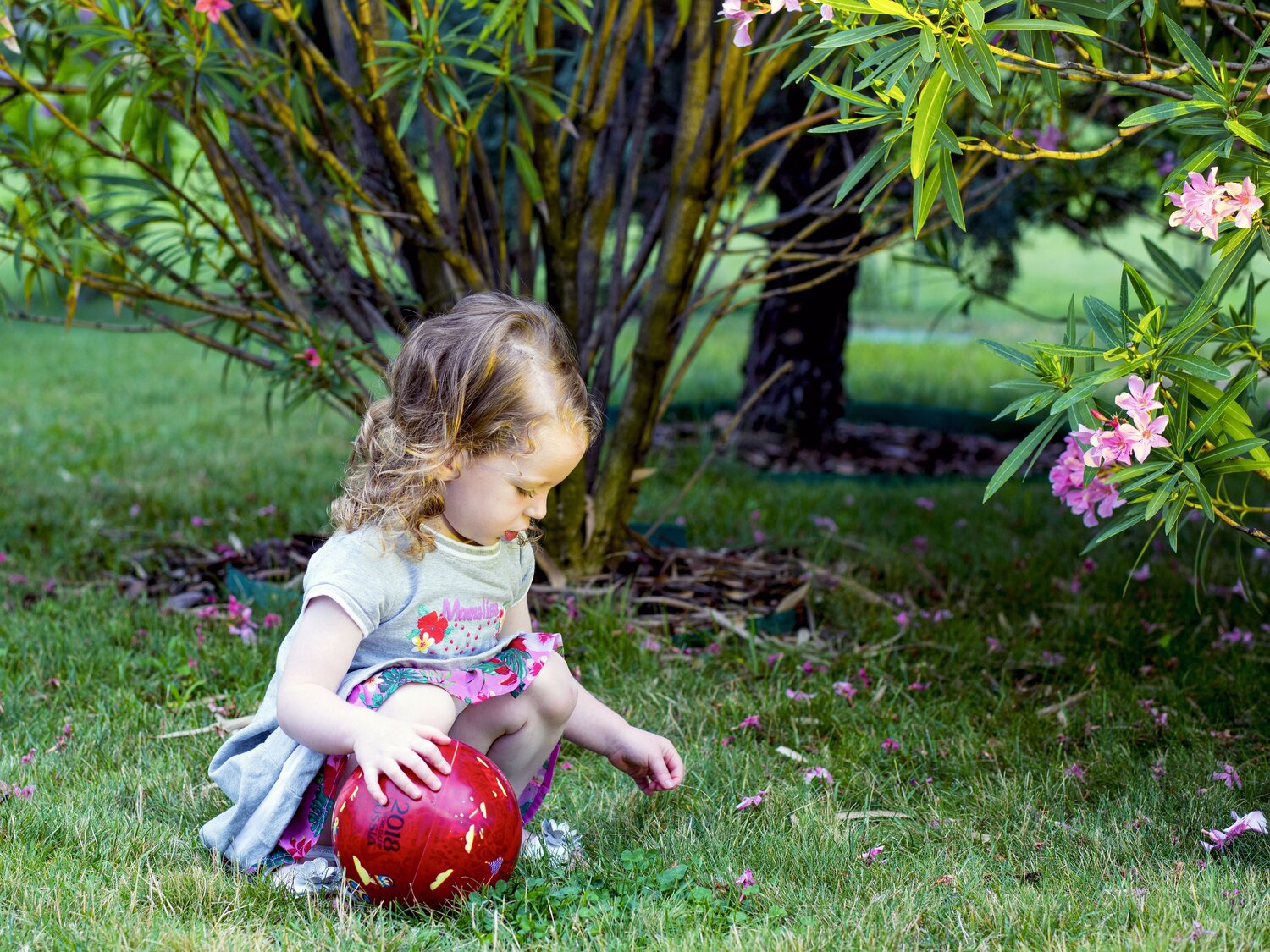 Photo #14074943