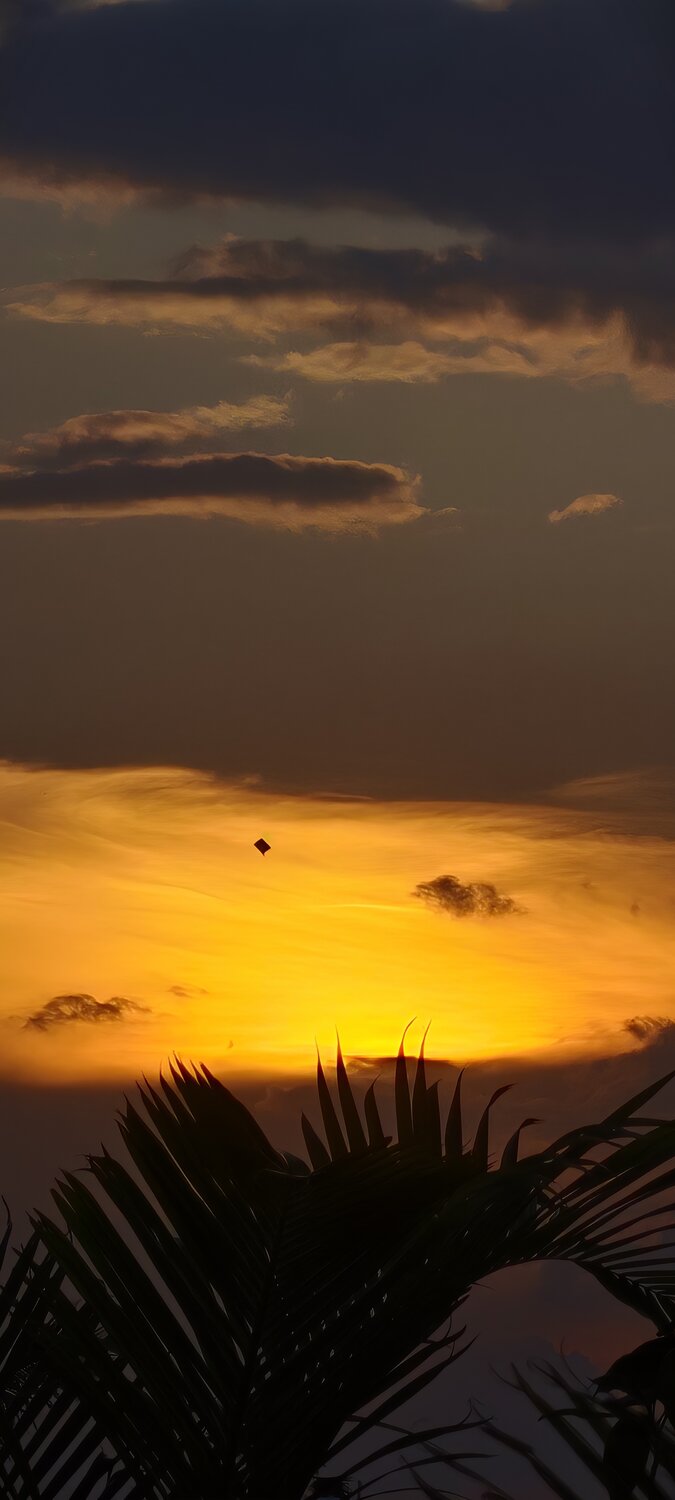 Beautiful sunset time