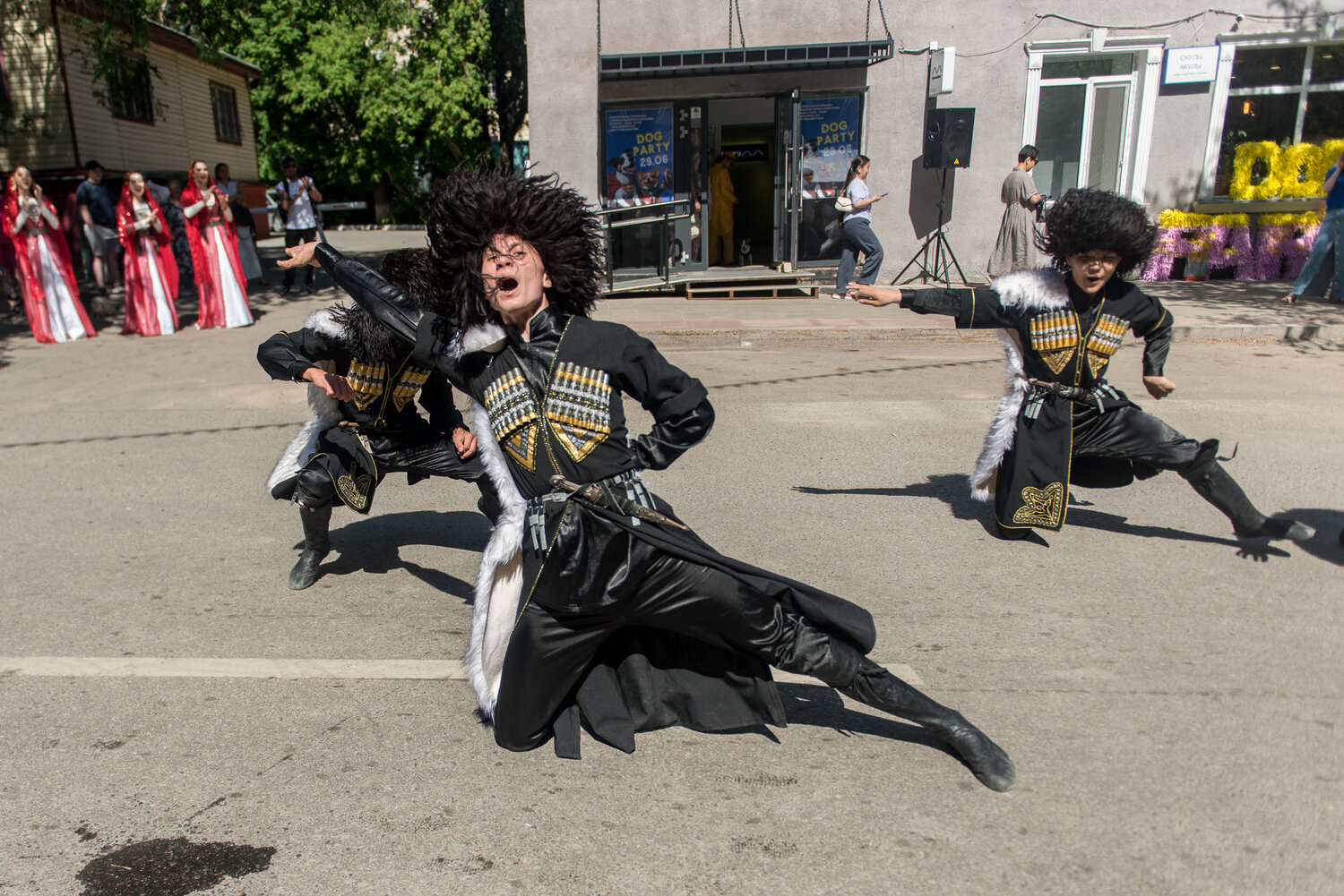 Photo #14075093