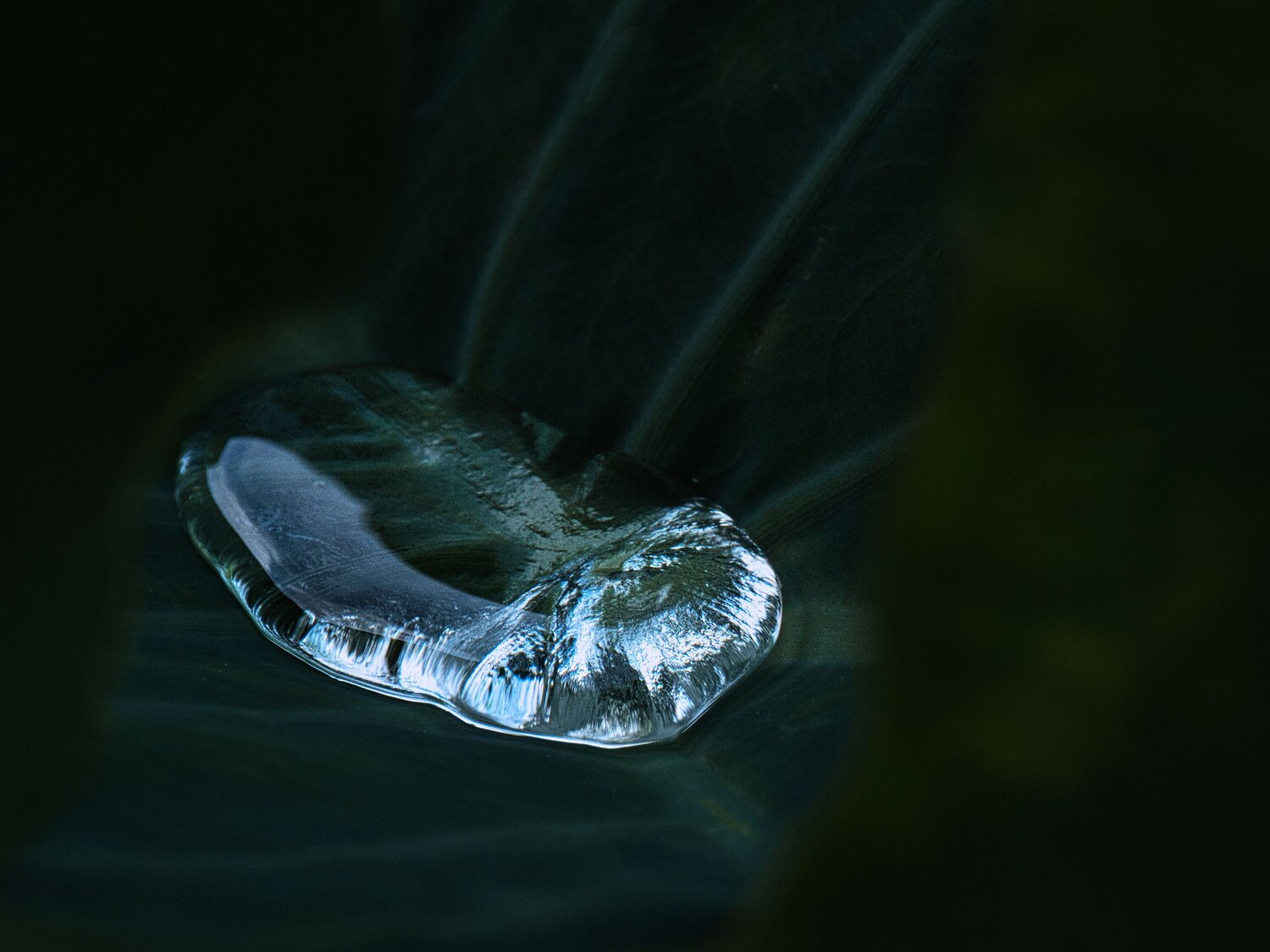 A Glimpse of Light