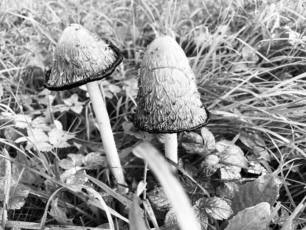 Photograph by Яна Егорова