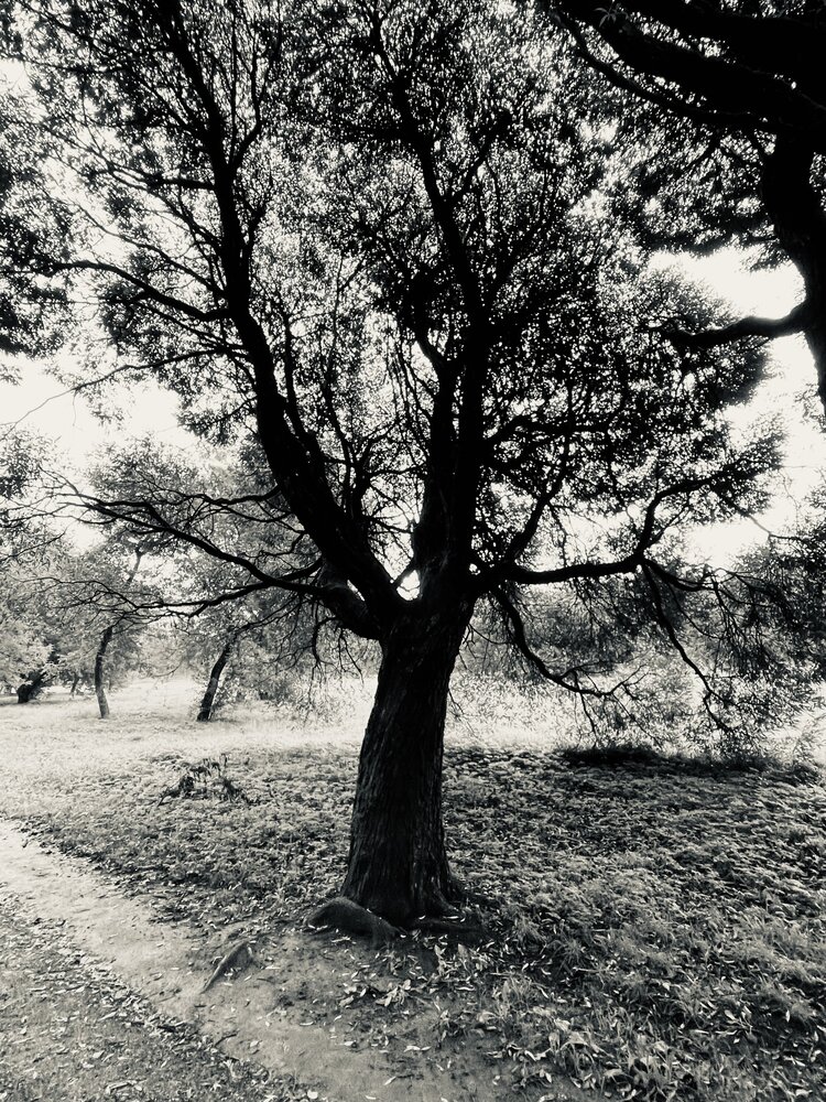 Photograph by Яна Егорова