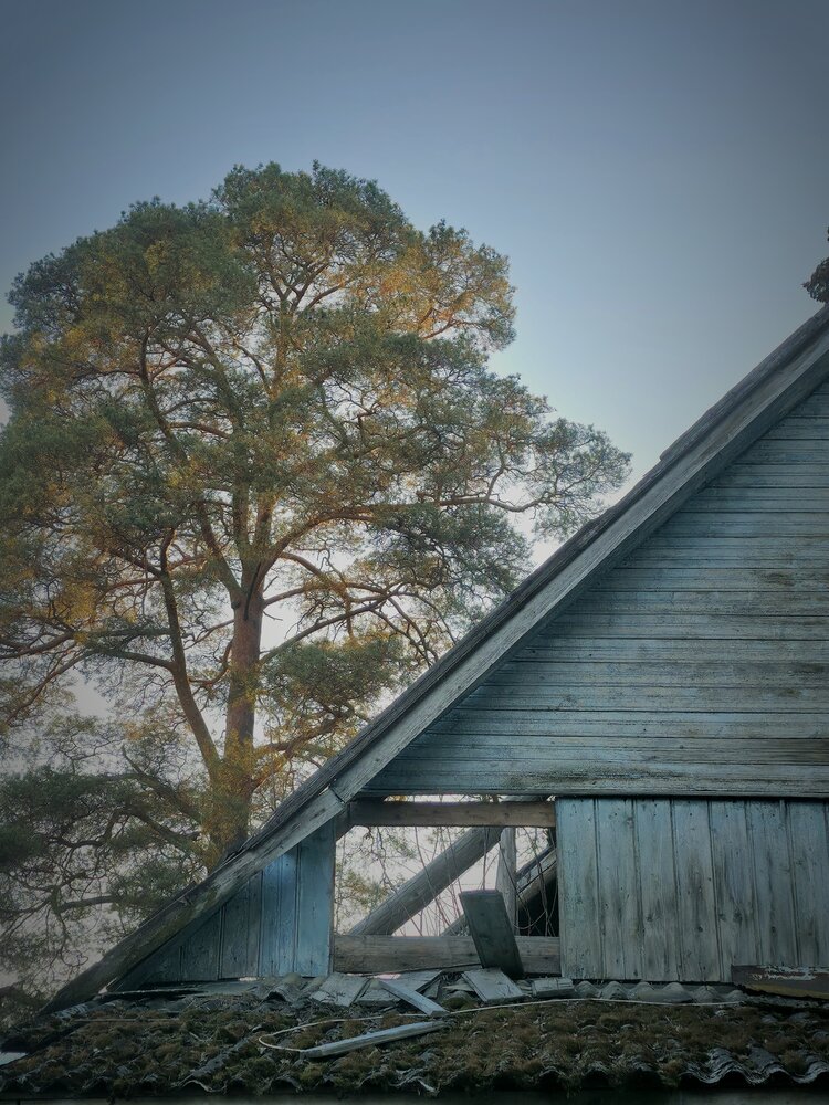 Photograph by Светлана Кустова