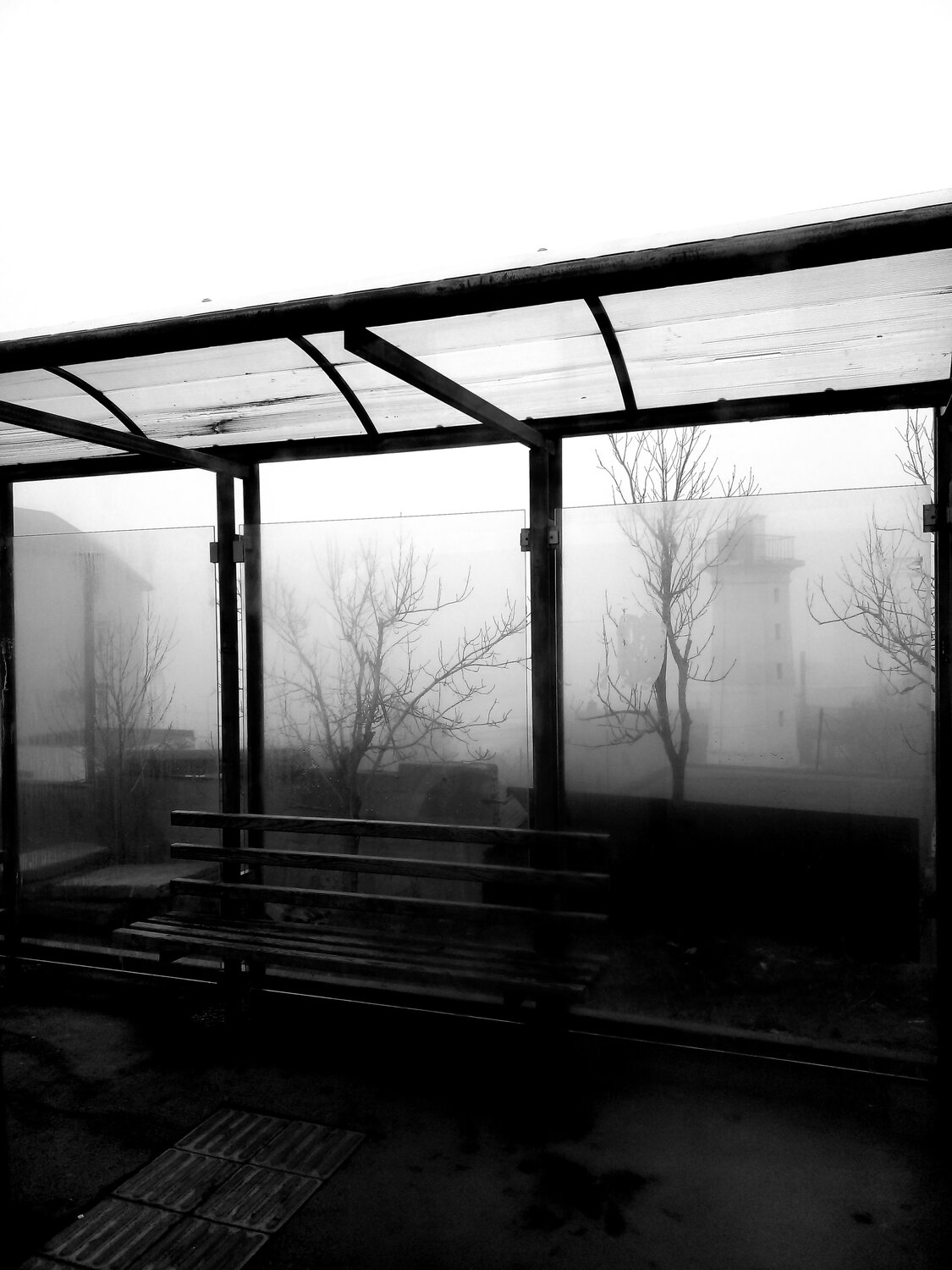 Черно-белый туман.