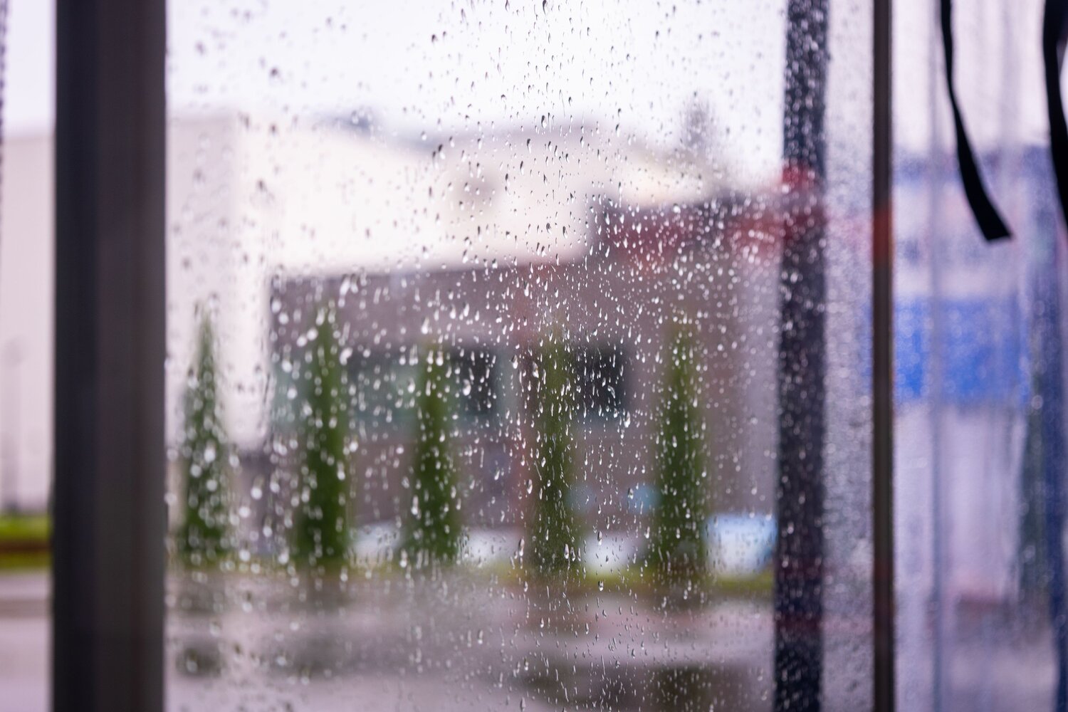 Photo #14075199