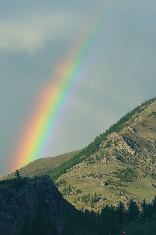 Photograph by Oksana Sokolova