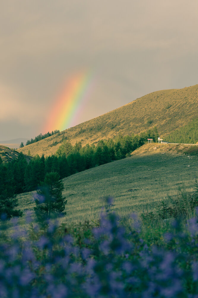Photograph by Oksana Sokolova