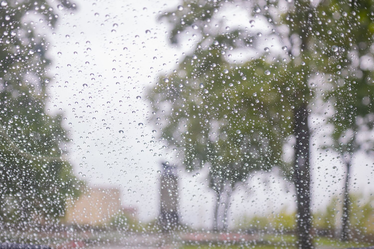 Photo #14075207