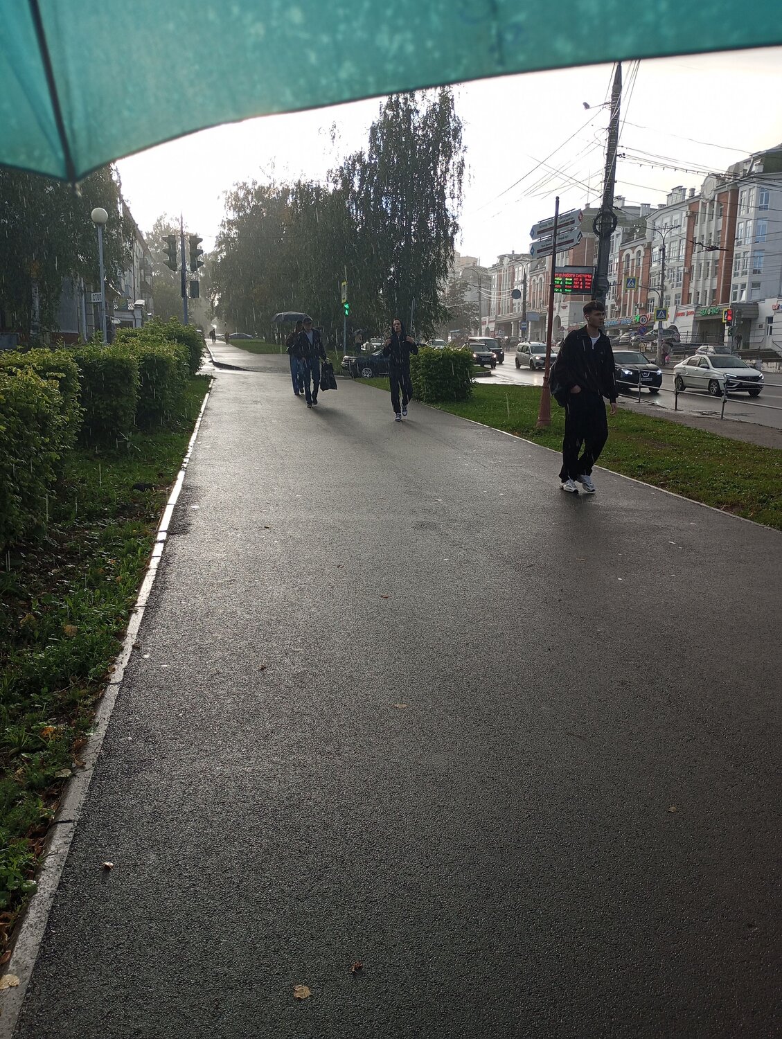Photo #14075288