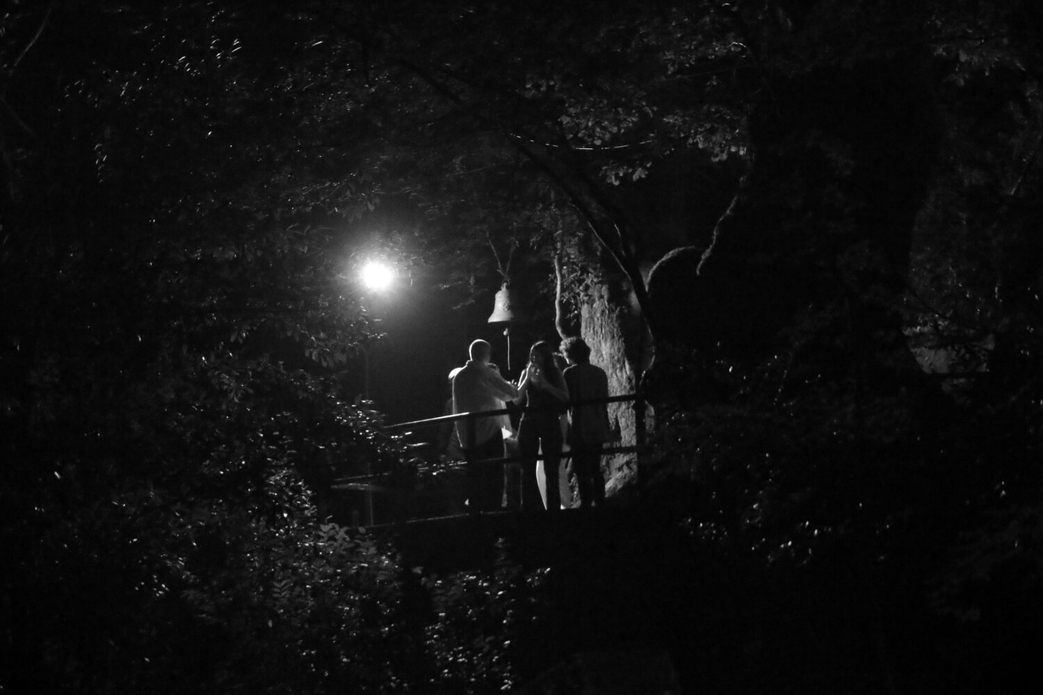 Photo #14075318
