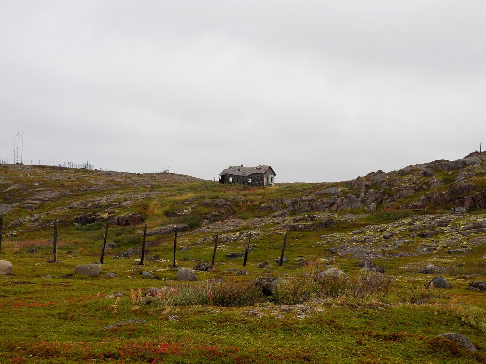 Photo #14075436