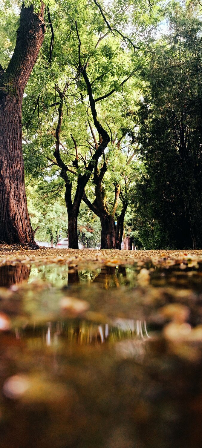 Photo #14075516