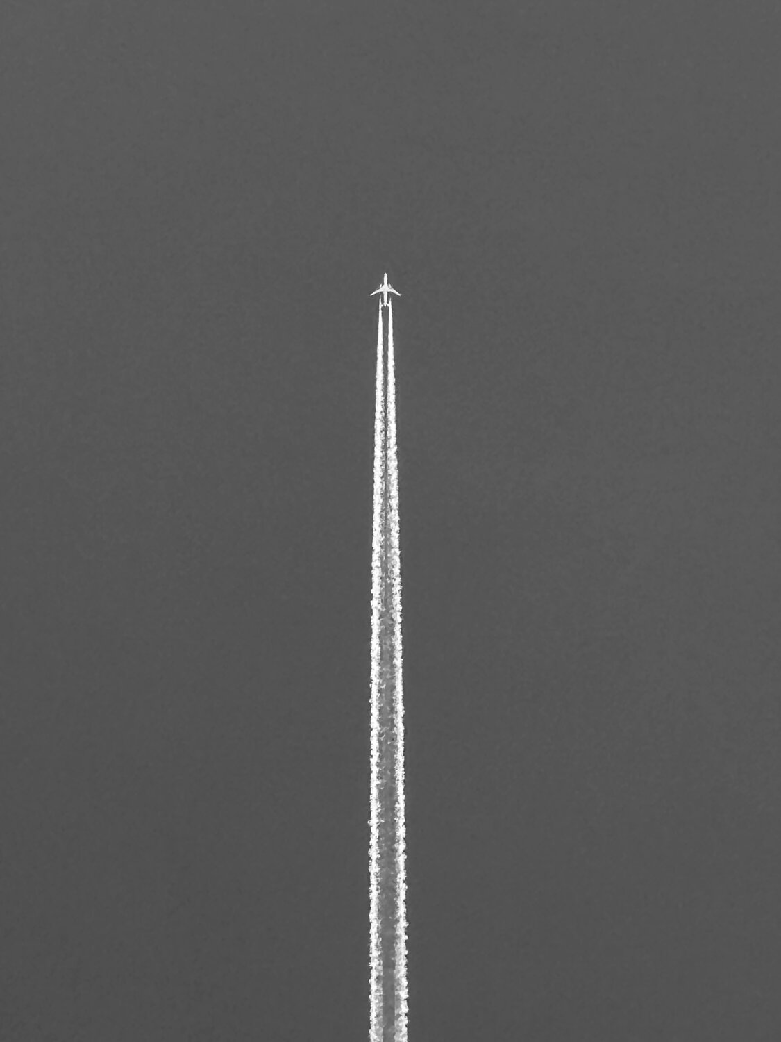 Photo #14075608
