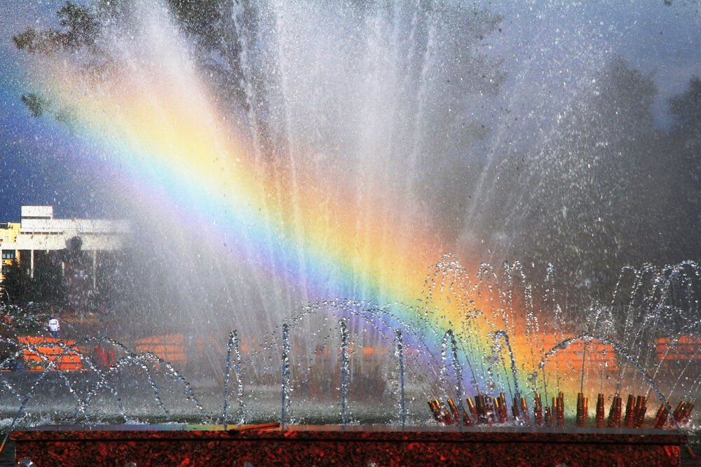 Photograph by Николай Протасеня