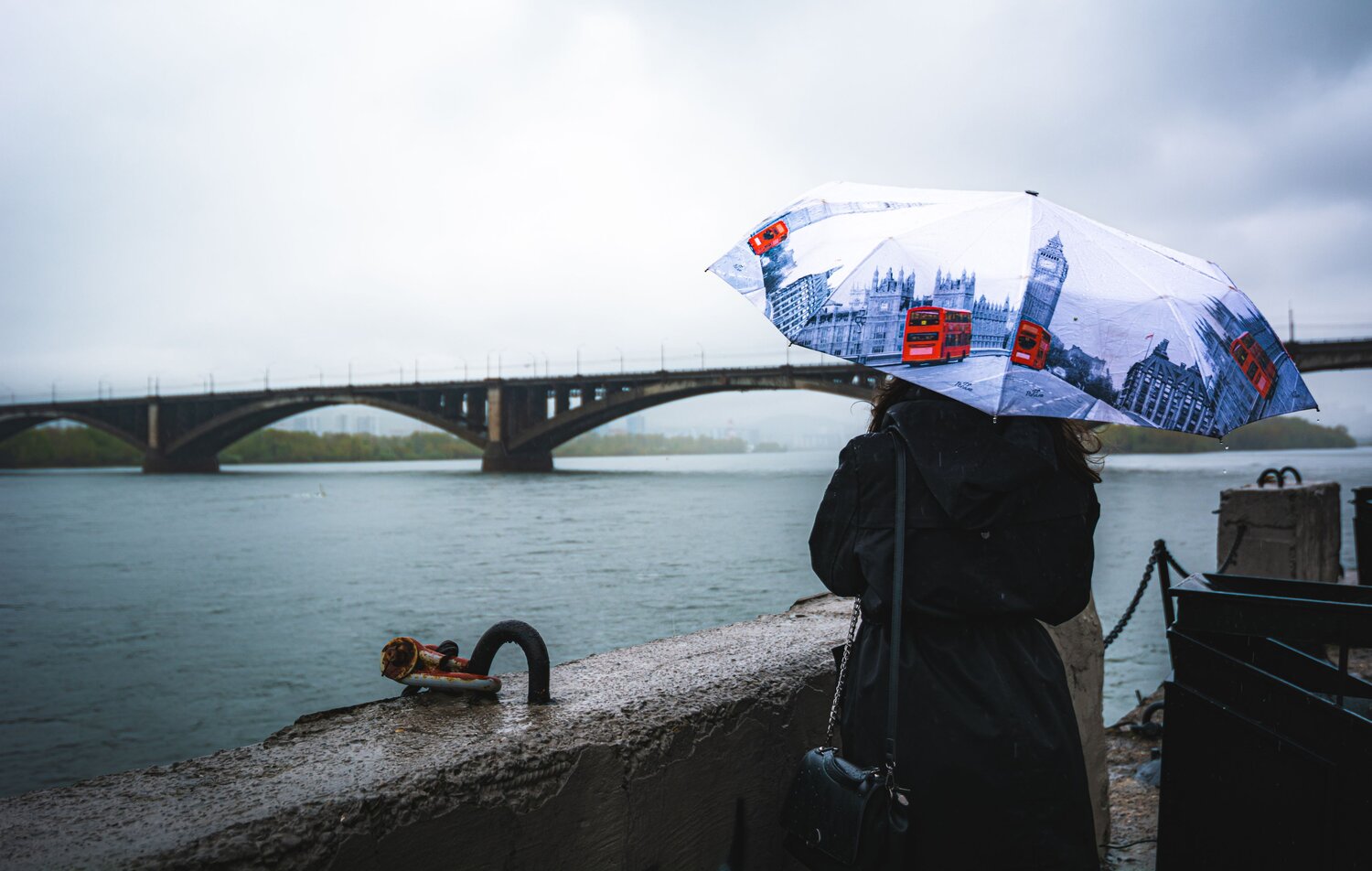 Photo #14075747