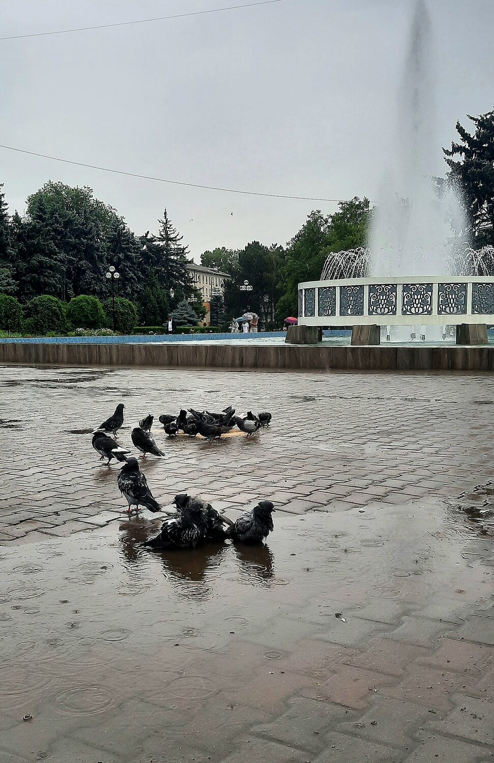 Photo #14075768