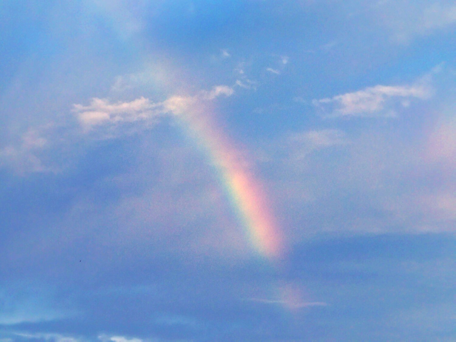 Photo #14075823