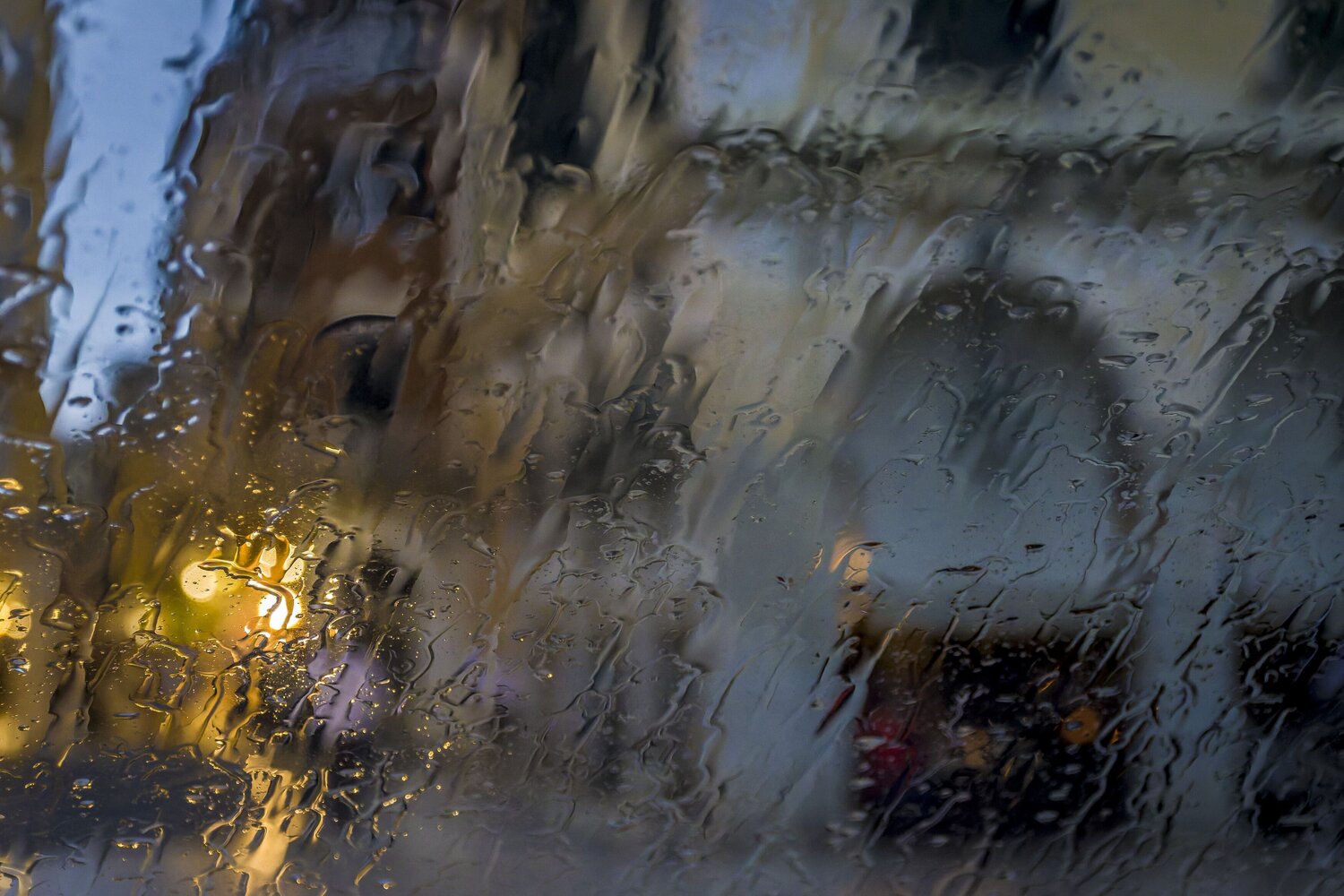 Photo #14075923