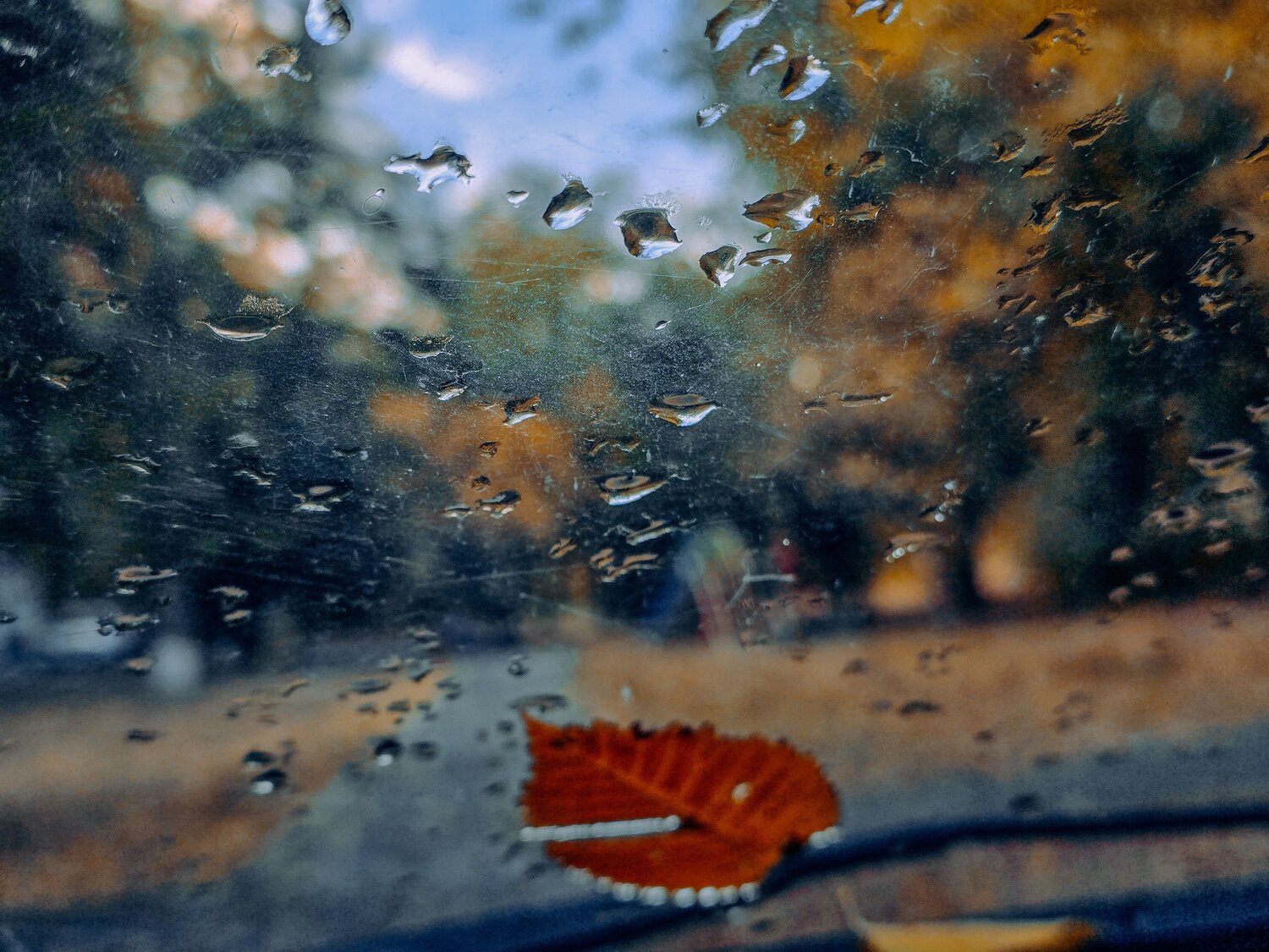 Photo #14075926