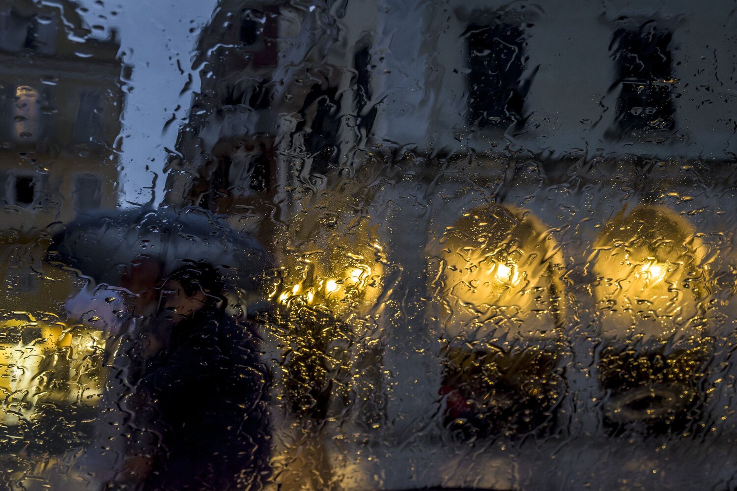 Photo #14075928
