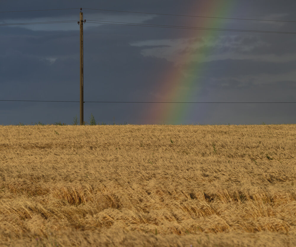 Photograph by Дмитрий Емельянов