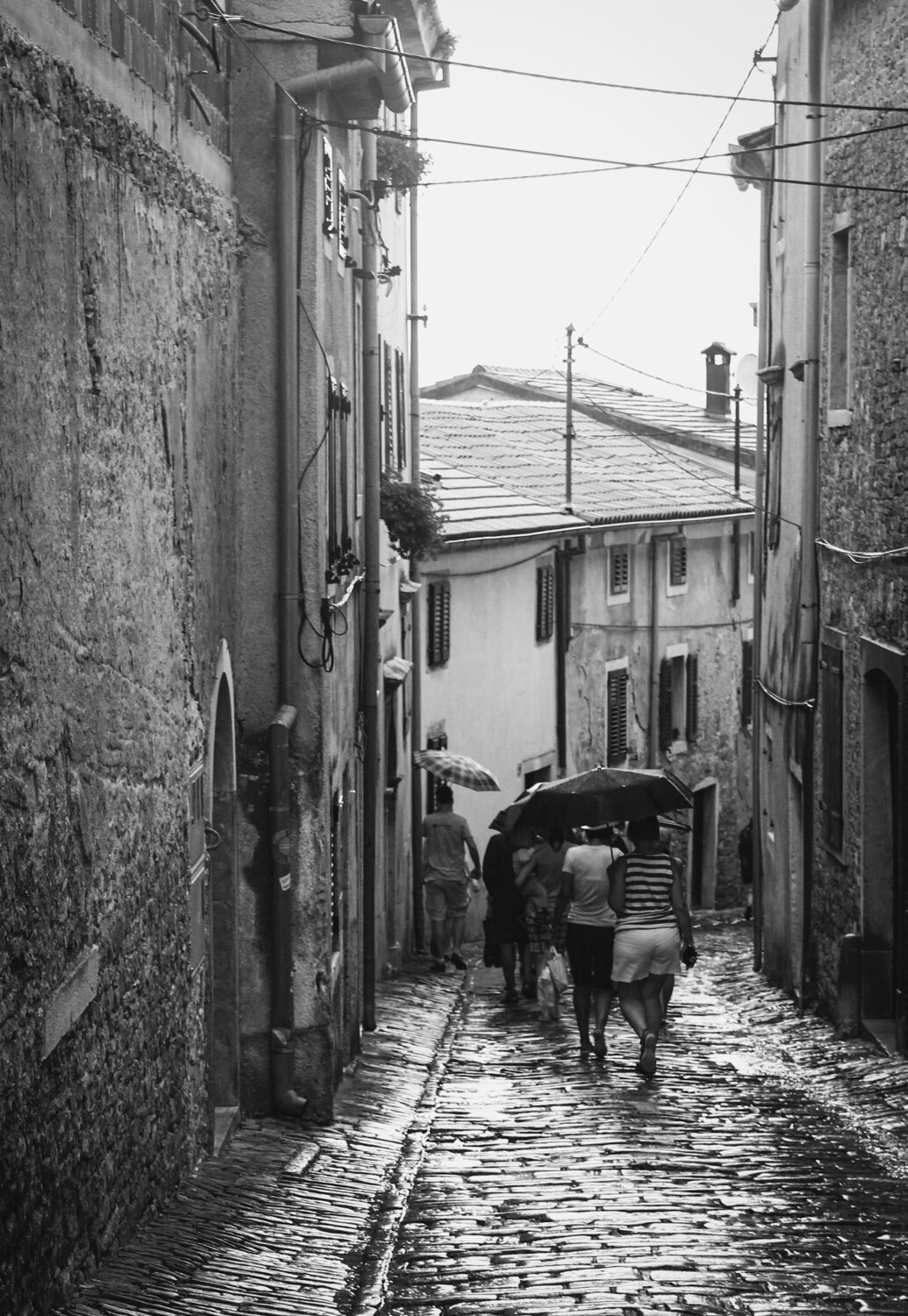 Photo #14076147