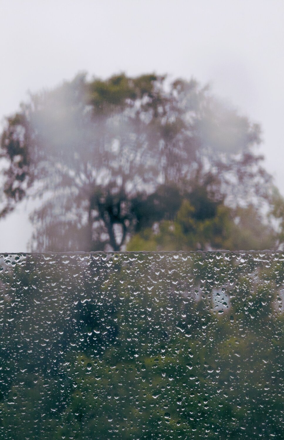 Photo #14076172