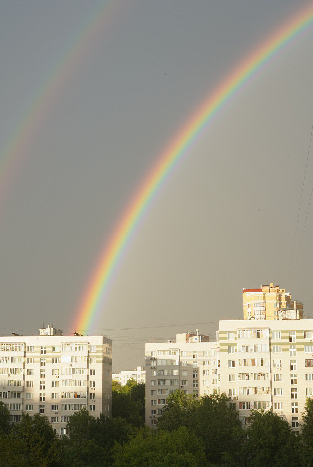 Photo #14076273