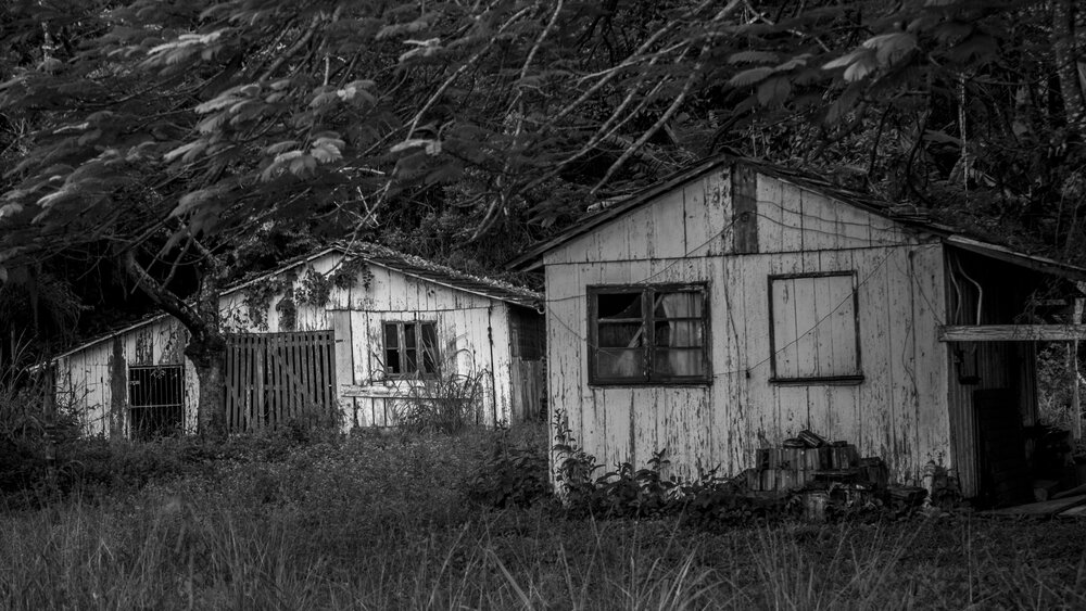 Photograph by Bruno Posnik Roloff