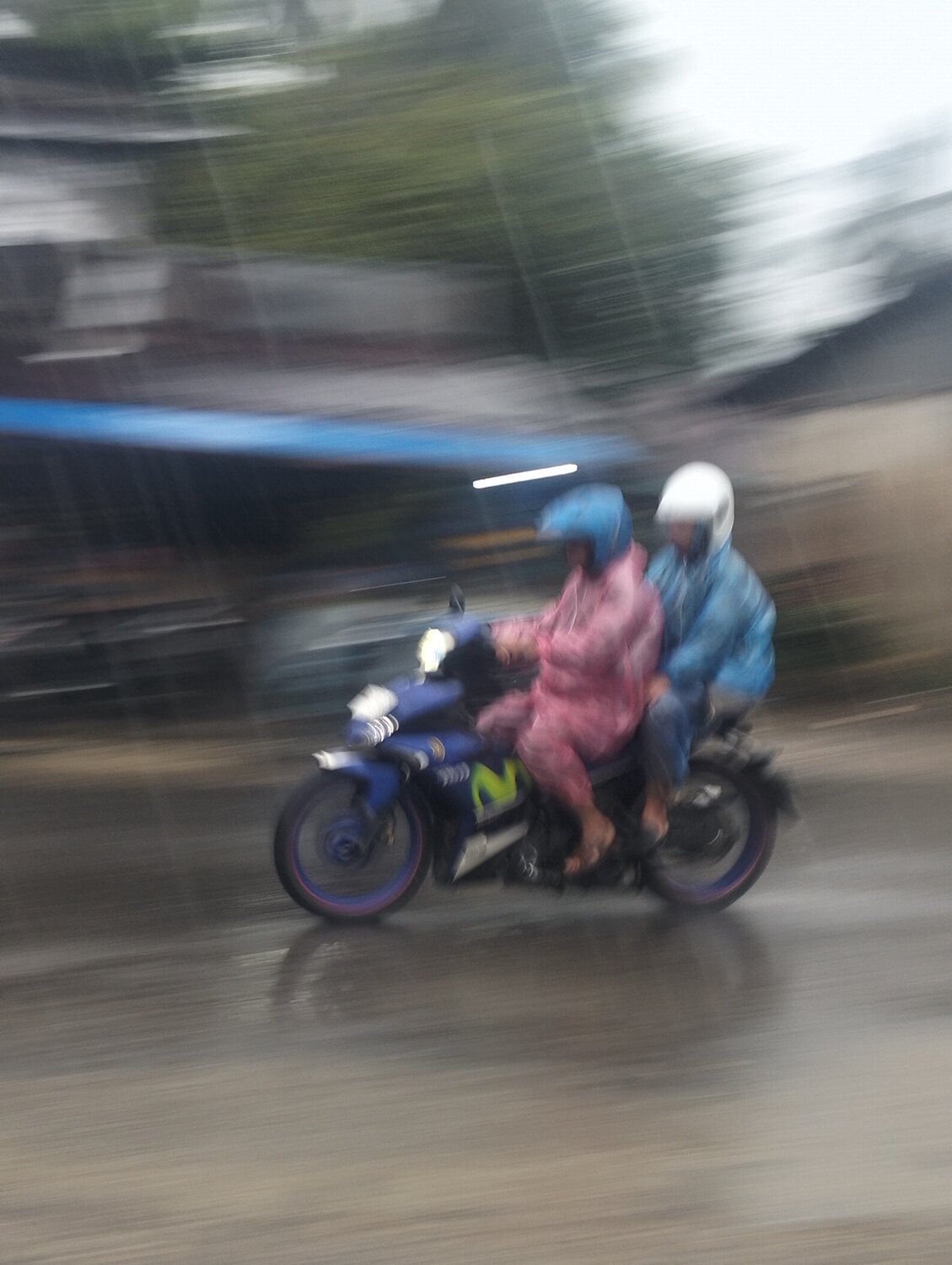 Photo #14076295
