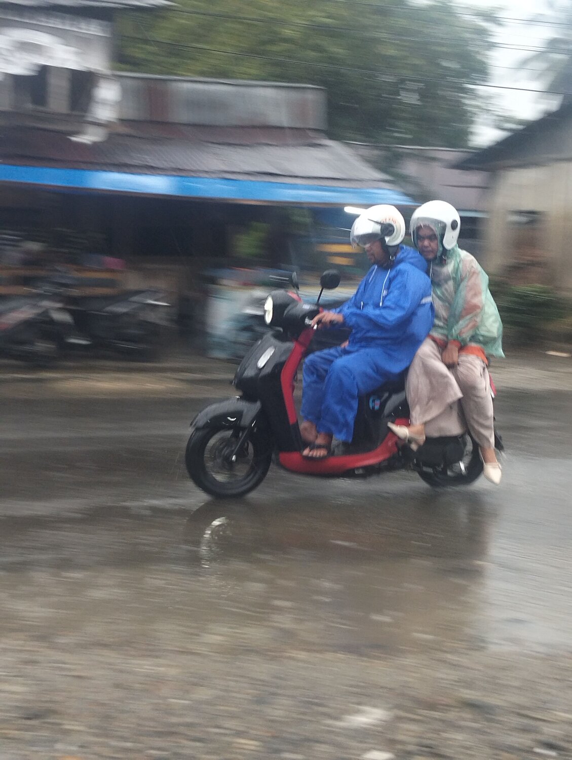 Photo #14076298