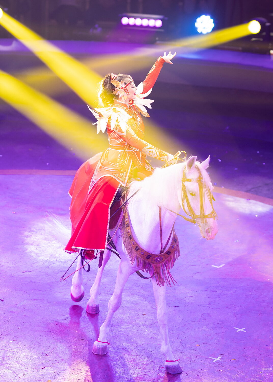 Photo #14076335