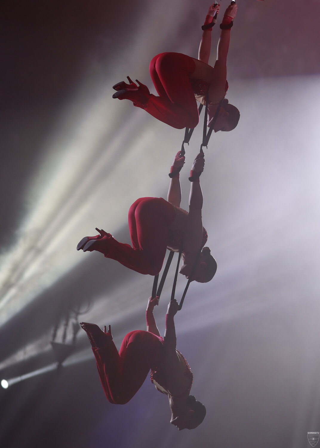 Photo #14076337