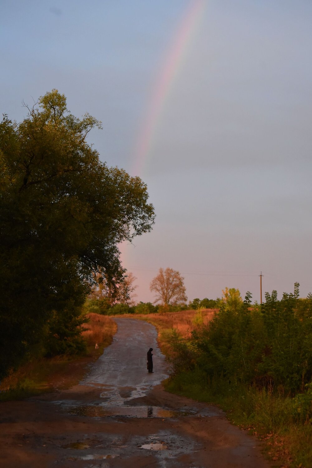 Photo #14076439