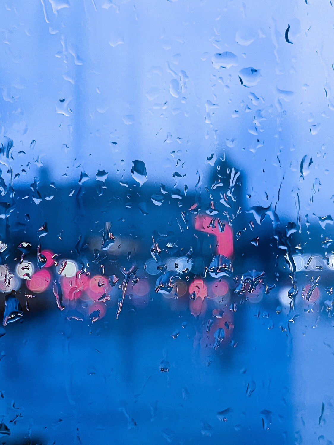 Photo #14076454