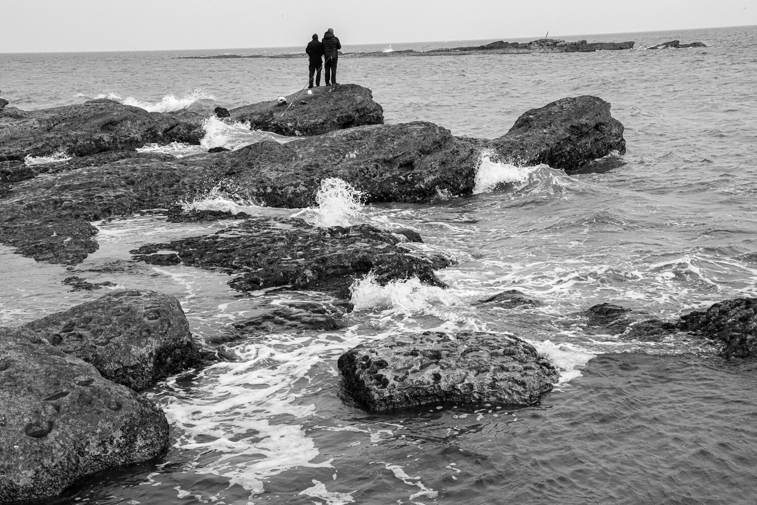 Photo #14076563