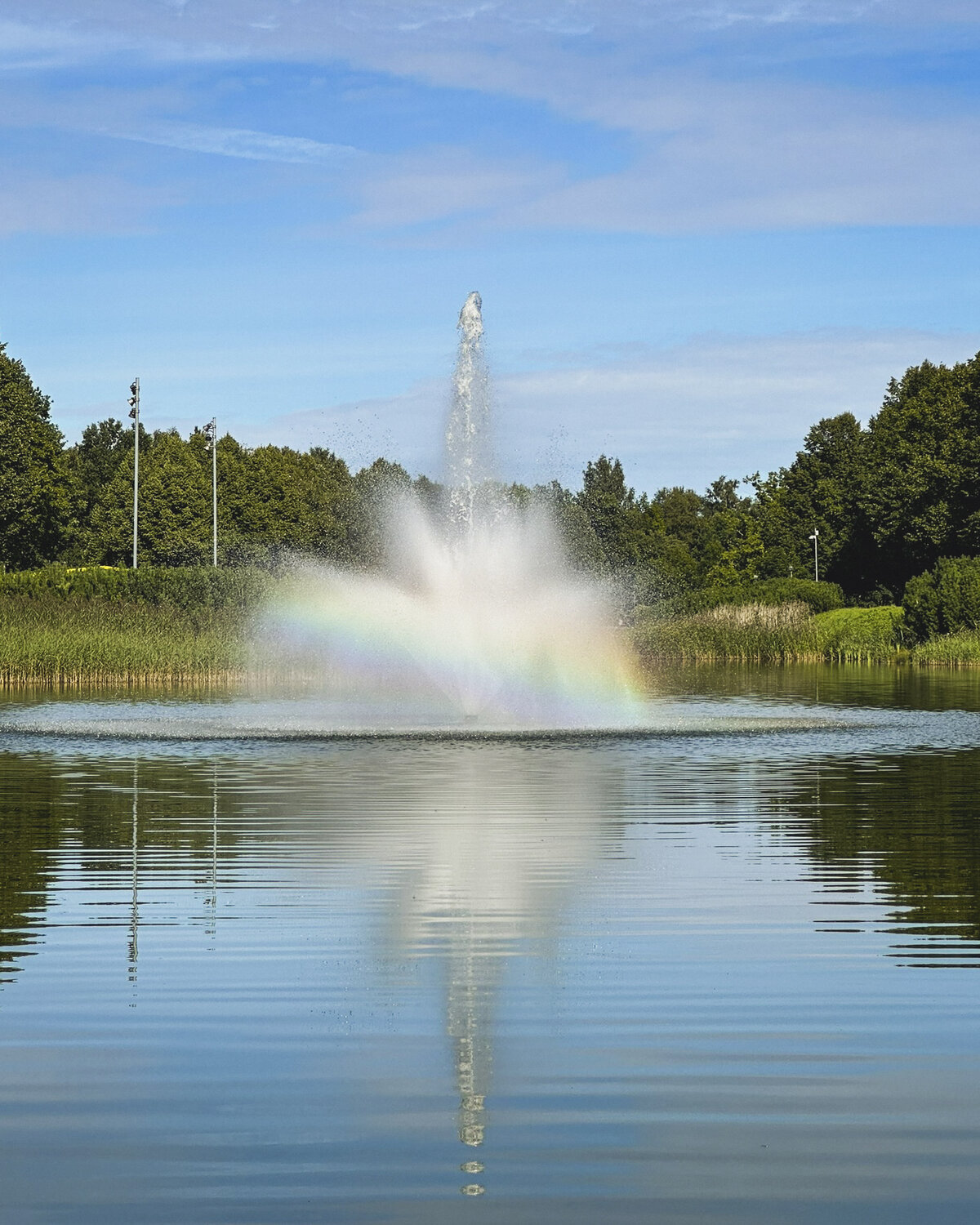Photo #14076574