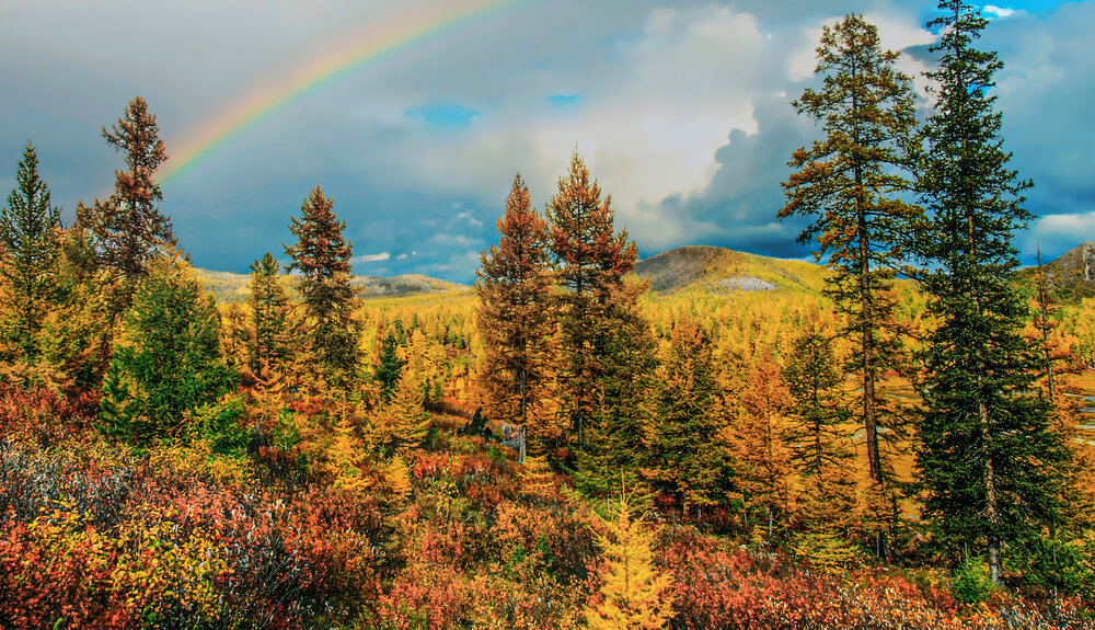 Photo #14076588