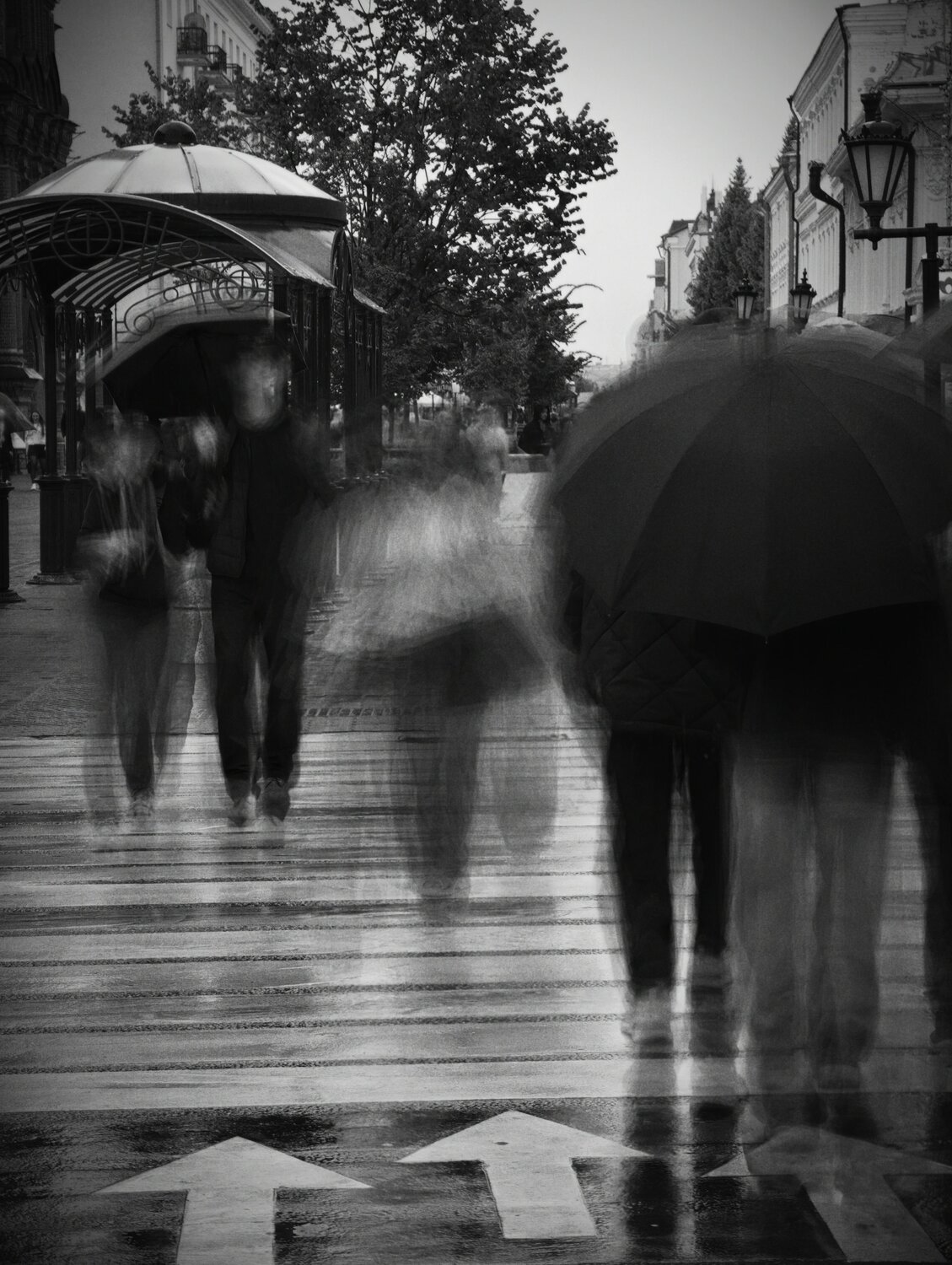 Photo #14076635