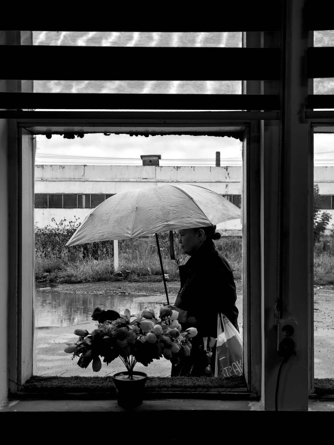 Photo #14076636