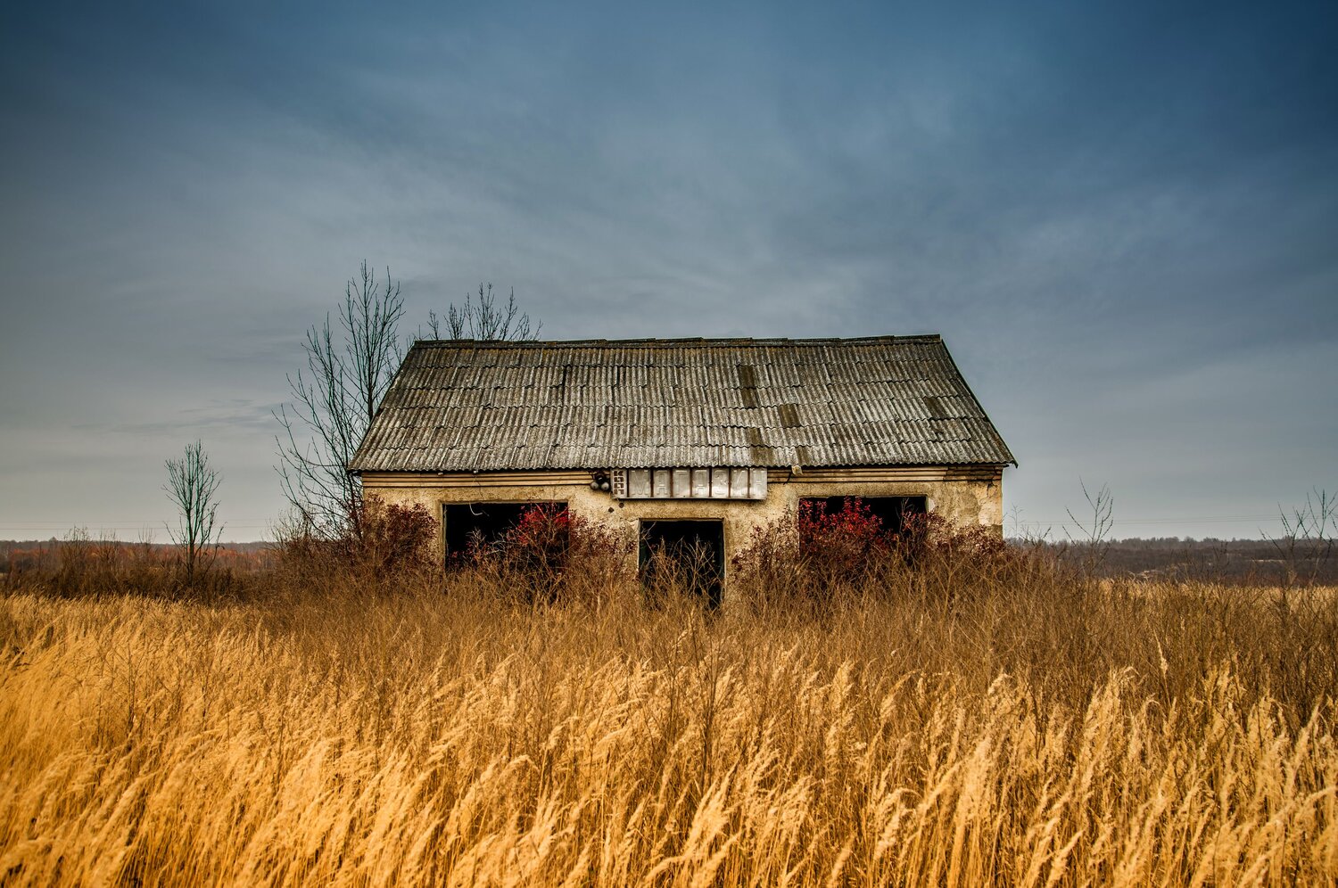 Photo #14076659