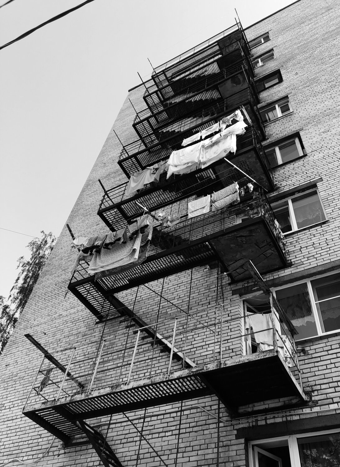 Photo #14076735