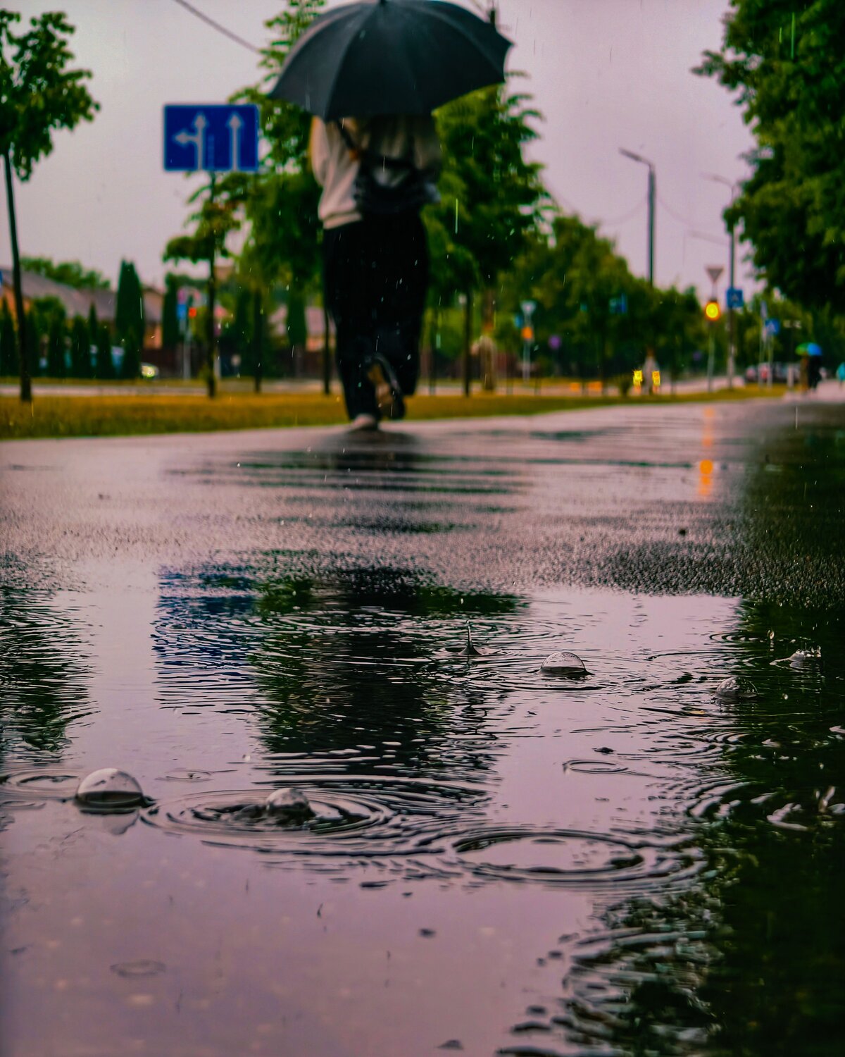 Фотография #14076778