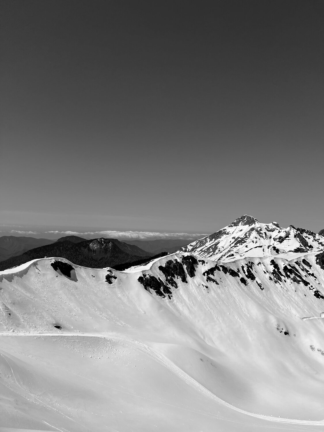 Photo #14076856