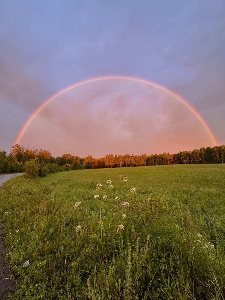 Photograph by Евгения Елисеева