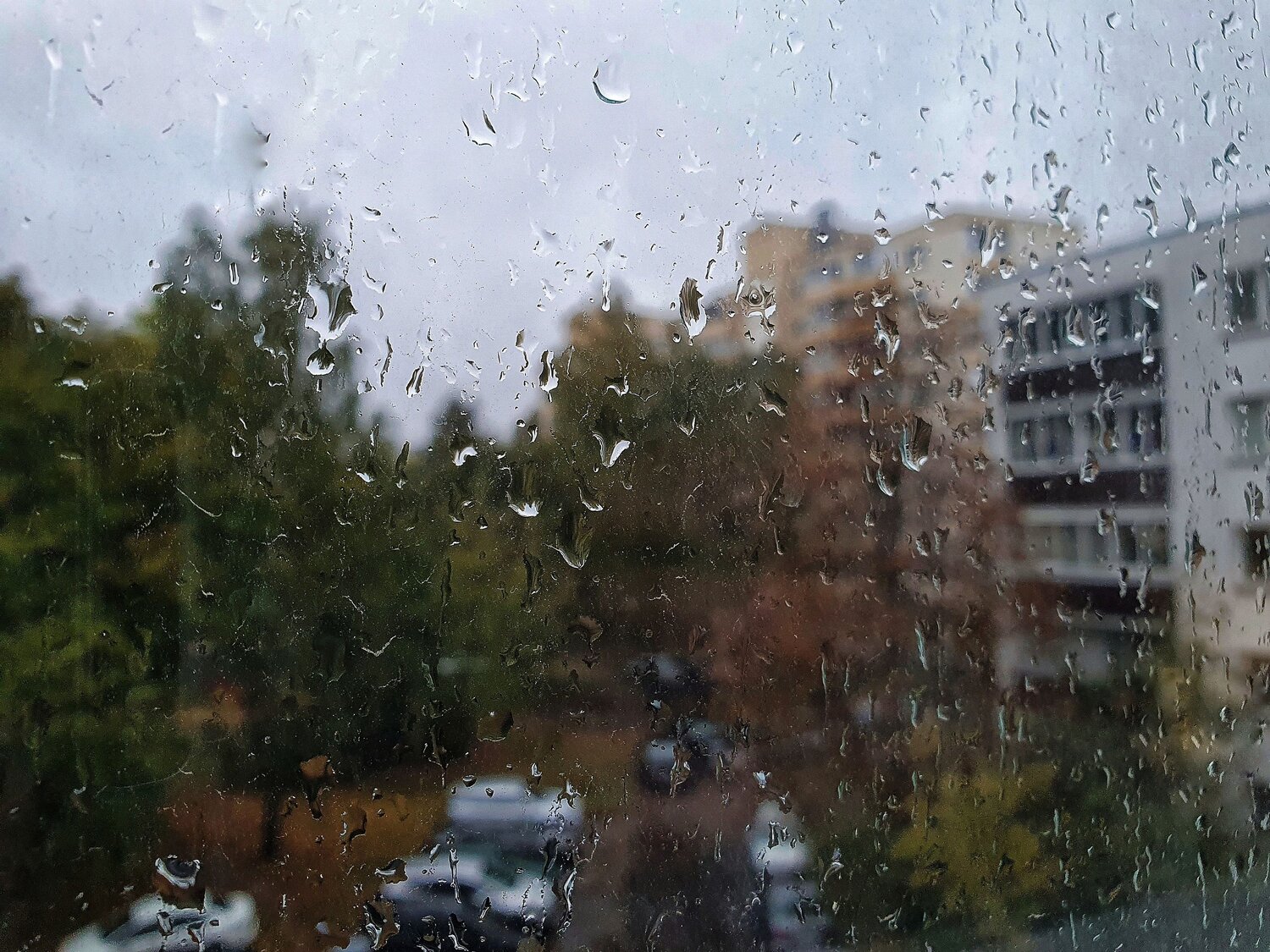 Photo #14076864