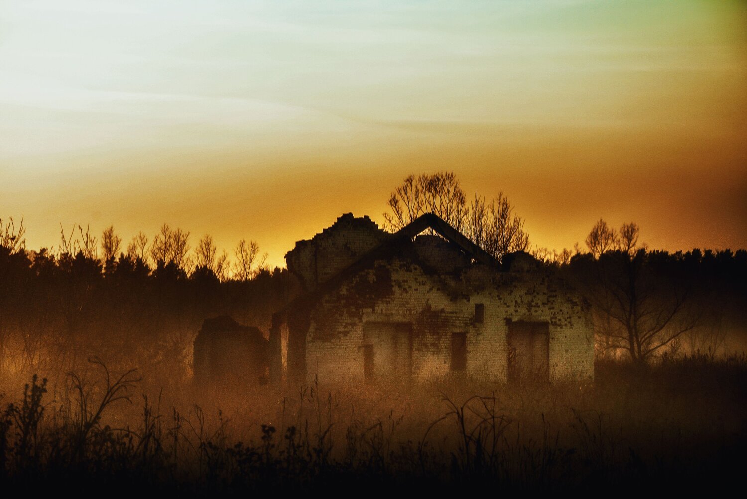 Photo #14076941