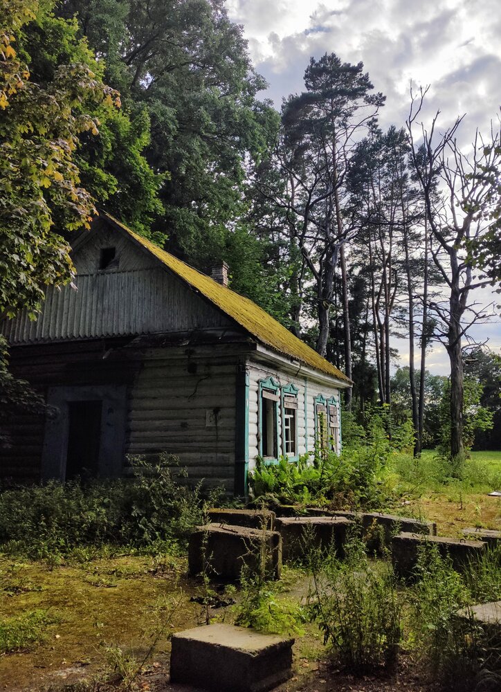 Photograph by Светлана Ильющиц