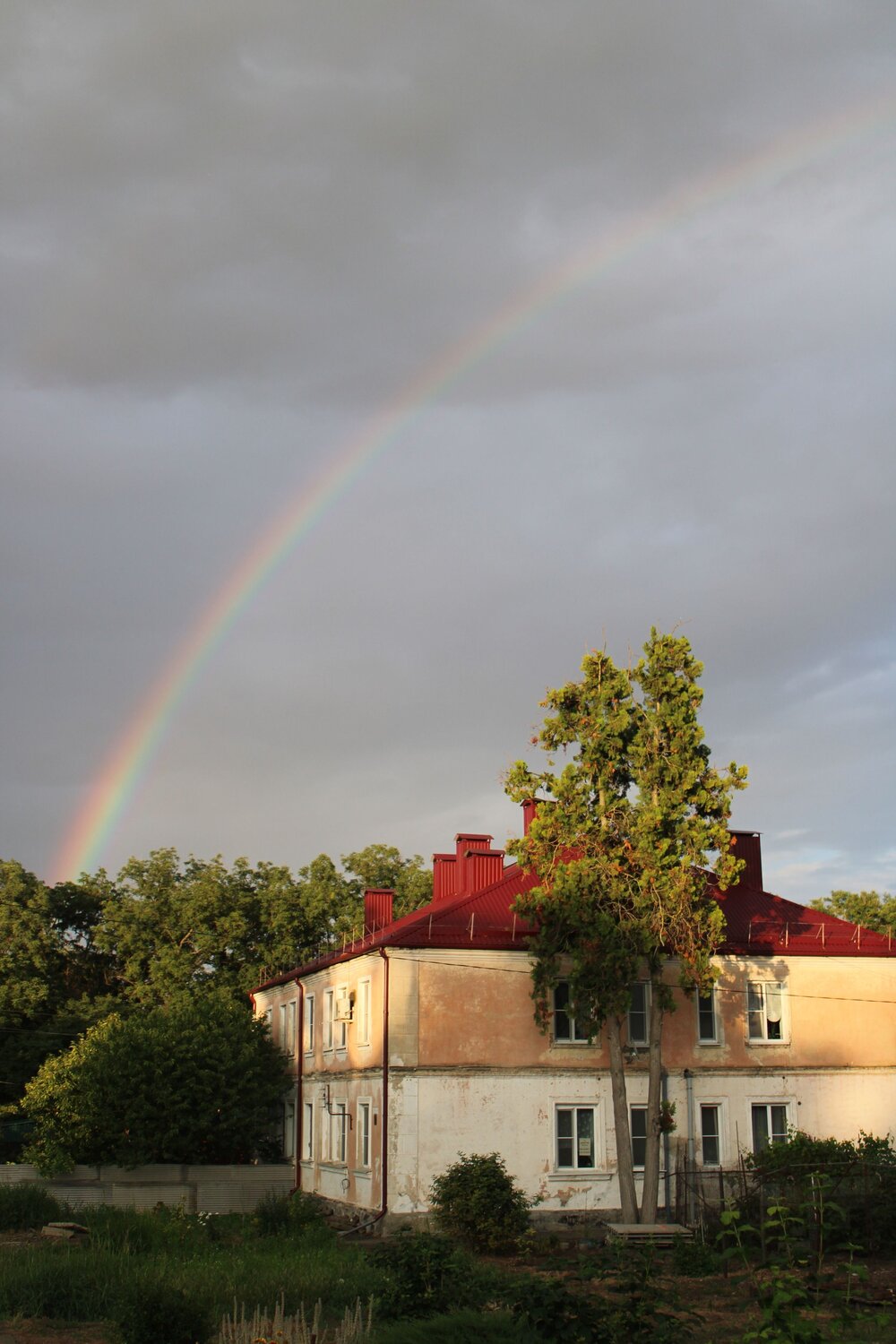 Photo #14077073