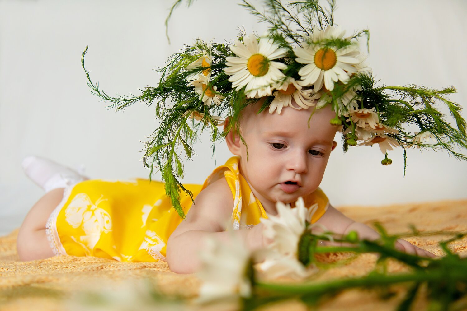 Photo #14077242